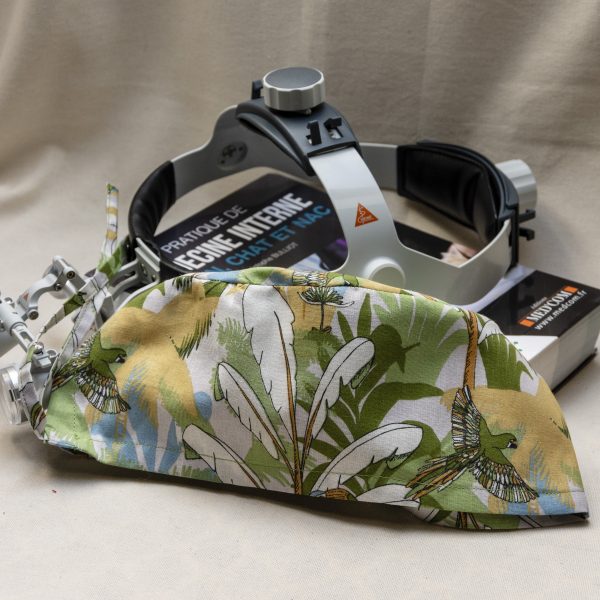 Calot Tropical – Image 4