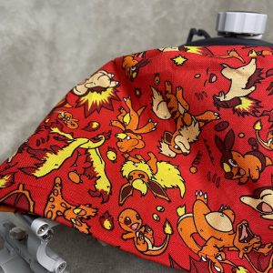 Calot Pokémon feu